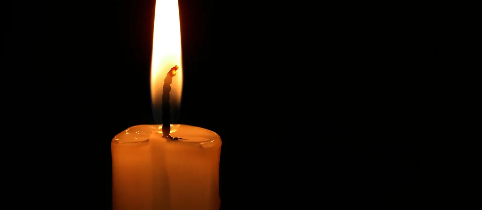 Disclaimer - Best Love Spell Caster In USA (Master Mystic Leo)